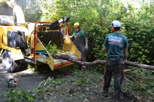 tree services Citrus Hills